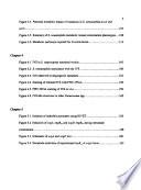 Initiation and Maintenance of Steinernema Carpocapsae Nematode Colonization by Xenorhabdus Nematophila Bacteria