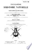 Insectes coléoptères