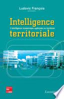 Intelligence territoriale