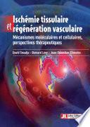 Ischémie tissulaire et régénération vasculaire