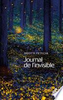 Journal de l'invisible
