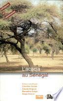 L'Acacia au Sénégal