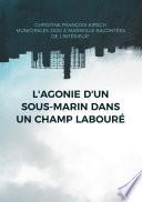 L'agonie d'un sous-marin dans un champ labouré