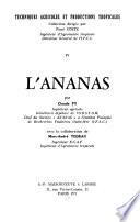 L'ananas