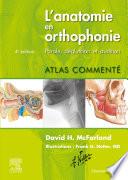 L'anatomie en orthophonie