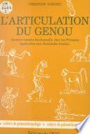 L'articulation du genou