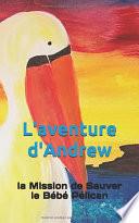 L'aventure d'Andrew