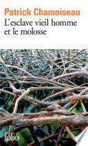 L'esclave vieil homme et le molosse