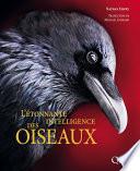 L'étonnante intelligence des oiseaux