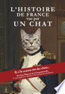 L'Histoire de France vue par un chat - et si les Gaulois, Charlemagne, Napoléon ou encore notre président actuel avaient été des chats ?