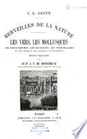 L'homme et les animaux