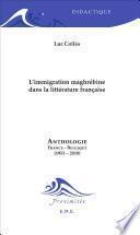 L'immigration maghrébine dans la littérature française