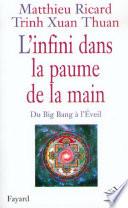 L'Infini dans la paume de la main