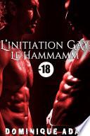 L'Initiation GAY: La Hammam (Une Nouvelle Érotique M/M à trois)