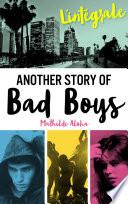 L'Intégrale de la série Another Story of Bad Boys