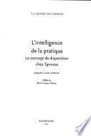 L'intelligence de la pratique
