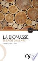 La biomasse, énergie d’avenir ?