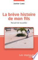 La brève histoire de mon fils. Recueil de nouvelles