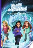 La cité de cristal, Tome 05