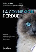 La connexion perdue