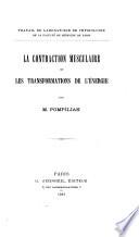 La contraction musculaire et les transformations de l'énergie