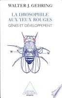 La drosophile aux yeux rouges