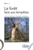 La forêt face aux tempêtes