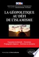 La géopolitique au défi de l'islamisme