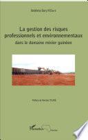 La gestion des risques professionnels et environnementaux dans le domaine minier guinéen