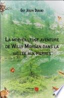 La merveilleuse aventure de Willy Morgan dans la vallée aux pierres