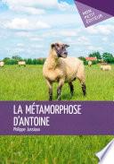 La métamorphose d'Antoine