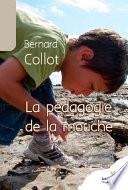 Livre La pédagogie de la mouche