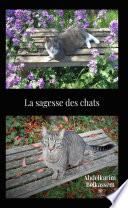 La sagesse des chats