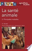 La santé animale