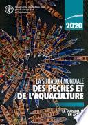 La situation mondiale des pêches et de l’aquaculture 2020