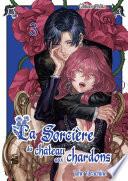 La sorcière du château aux chardons - Tome 3