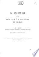 La structure de la moelle des os et la genèse du sang chez les oiseaux