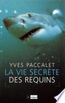 La vie secrète des requins