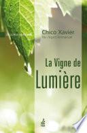 La vigne de lumière