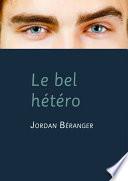 Le bel hétéro (roman gay)