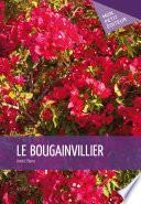 Le Bougainvillier