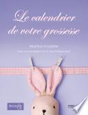 Le calendrier de votre grossesse