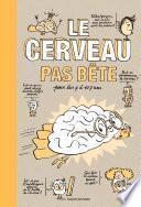 Le cerveau pas bête