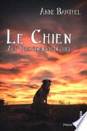 Le chien aux yeux couleur miel