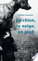 Le chien, la neige, un pied