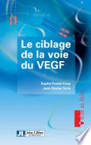 Le ciblage de la voie du VEGF