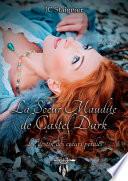 Le destin des cœurs perdus - Tome 4 : La sœur maudite de Castel Dark