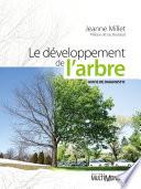 Le développement de l’arbre