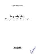 Le grand gâchis