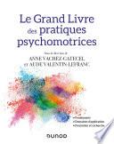 Le Grand Livre des pratiques psychomotrices